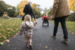 A low-angle of a family of four out walking their dog. Special needs child in wheelchair is at the front of the group.